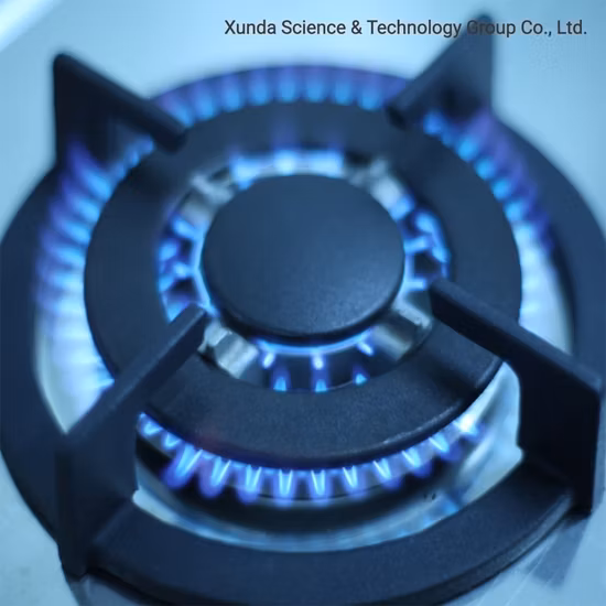 Plaque de cuisson à gaz intégrée en acier inoxydable, 4 brûleurs, flamme de Lotus, cuisinière à gaz